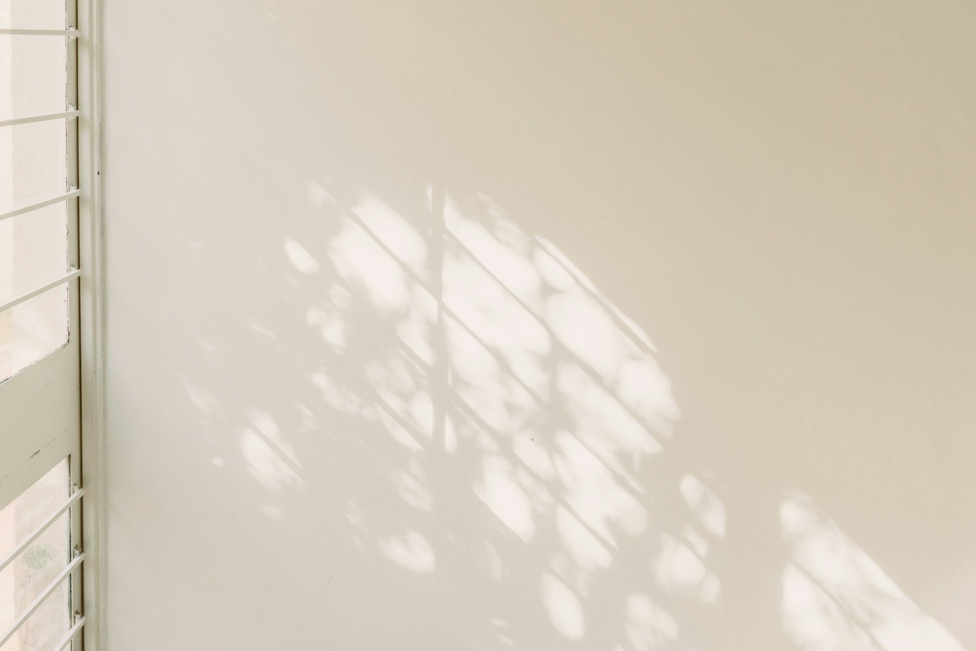 Schatten von Zweigen auf einer hellen Wand